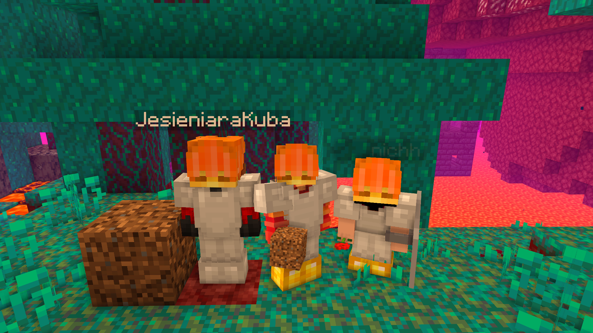 Nether exploring