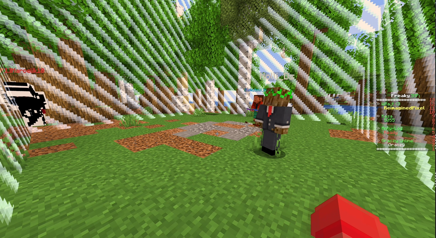 Freaky SMP 2